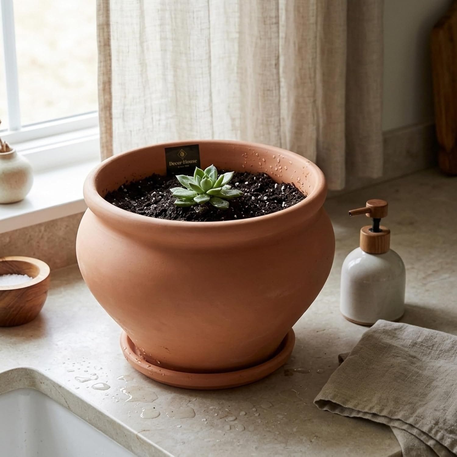 Maceta redondeada de terracota con una planta pequeña junto a una ventana