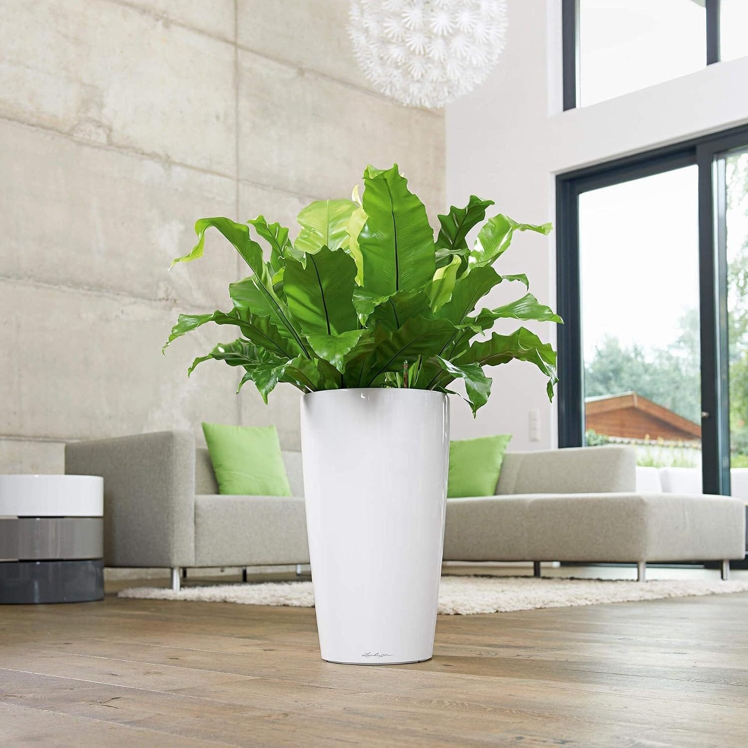 Maceta blanca alta con planta de hojas verdes en un salón luminoso