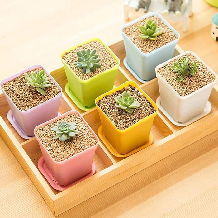 Mini macetas de plástico
