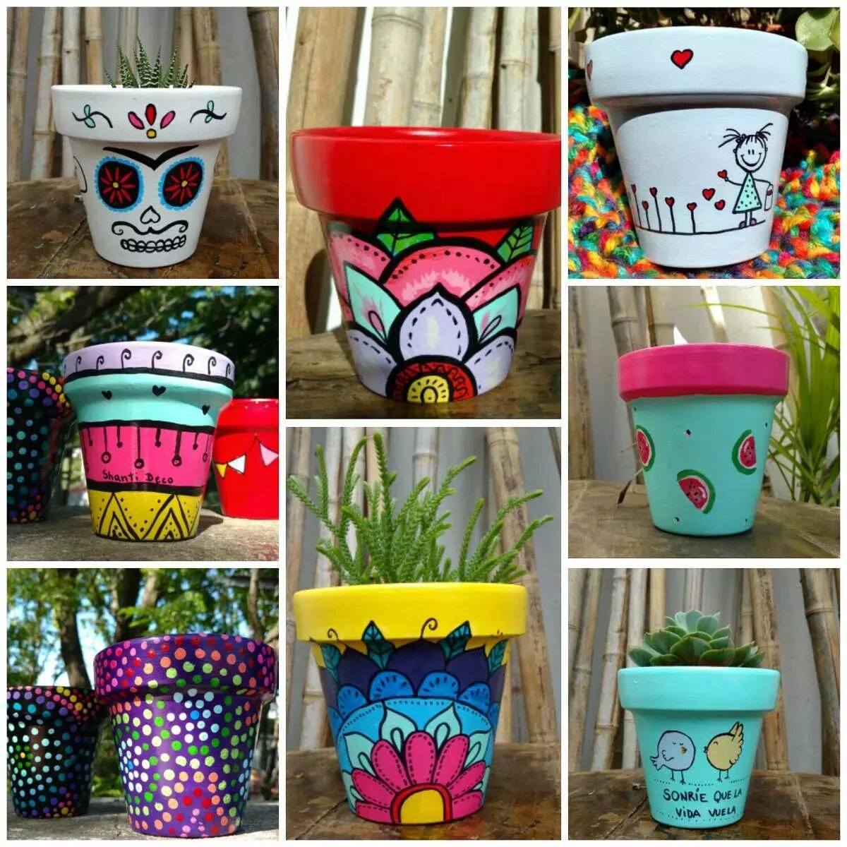 Diferentes diseños de minimacetas con colores vivos