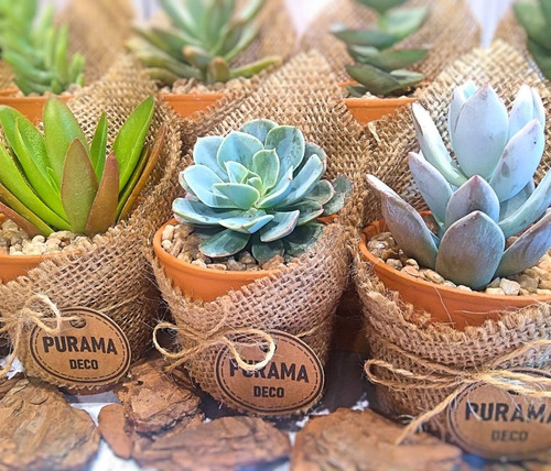 Mini maceta de barro para souvenir de empresa