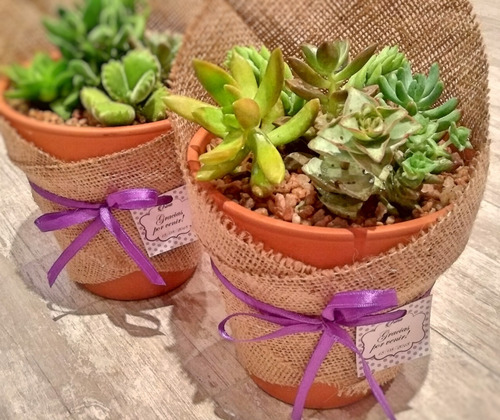 maceta de barro para souvenir de fiesta