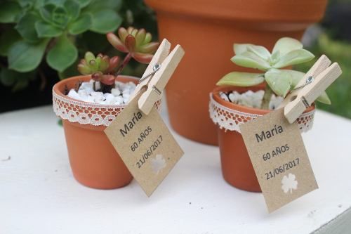 Mini maceta de barro para souvenir de boda de plata