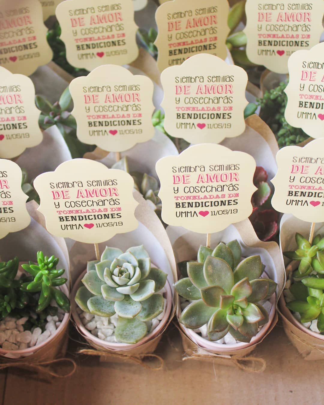 Mini maceta de barro para souvenir con mensaje