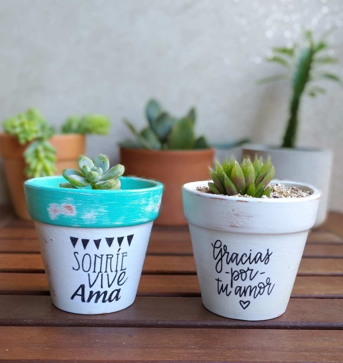 Mini macetas con frases motivadoras