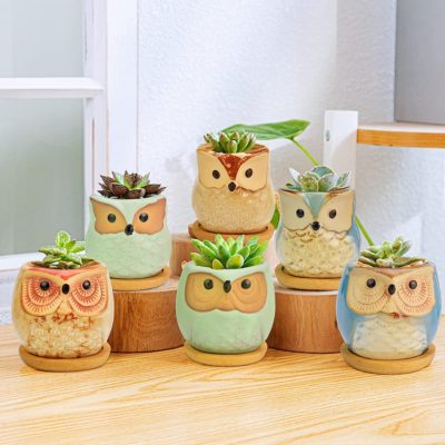Mini macetas de búhos de cerámica