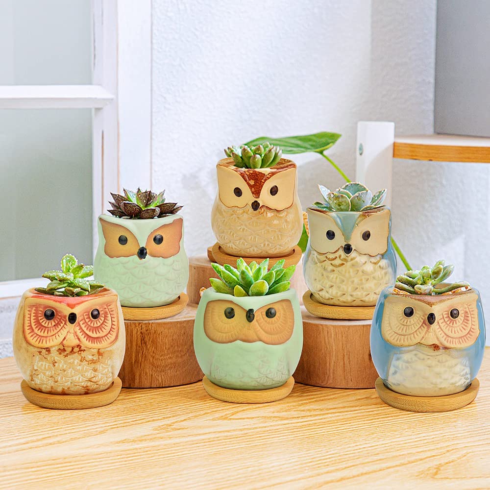 Mini macetas de búhos de cerámica