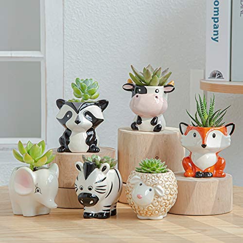 Mini macetas de animales
