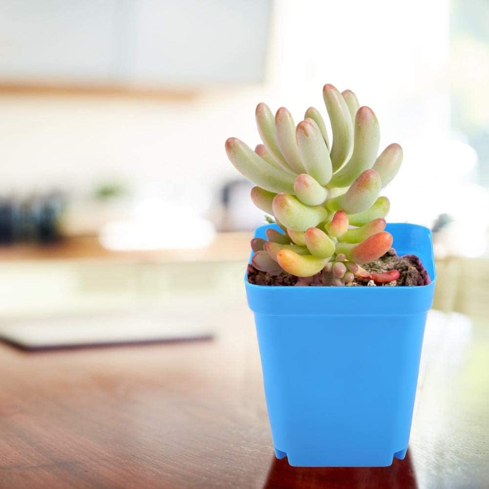 Mini maceta azul