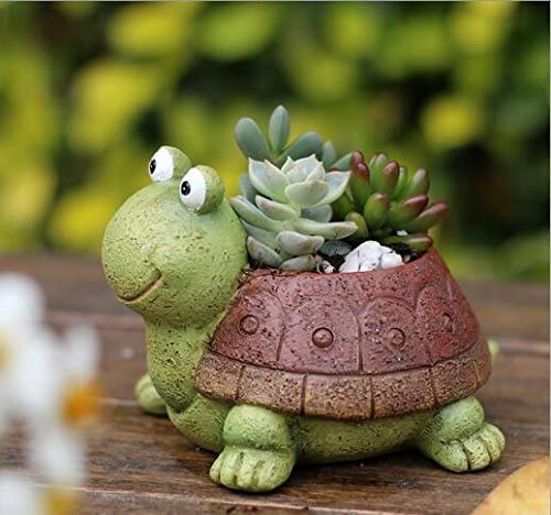 Mini maceta con forma de tortuga