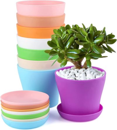 Macetas de colores con plato