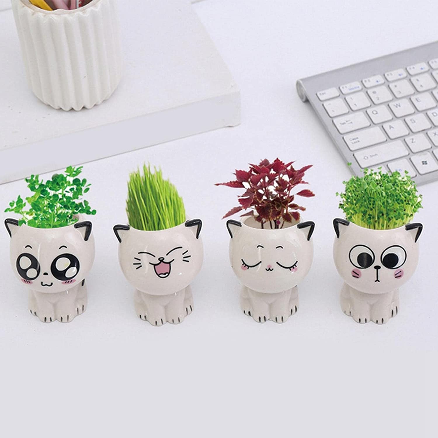 Mini maceta de gatos manga