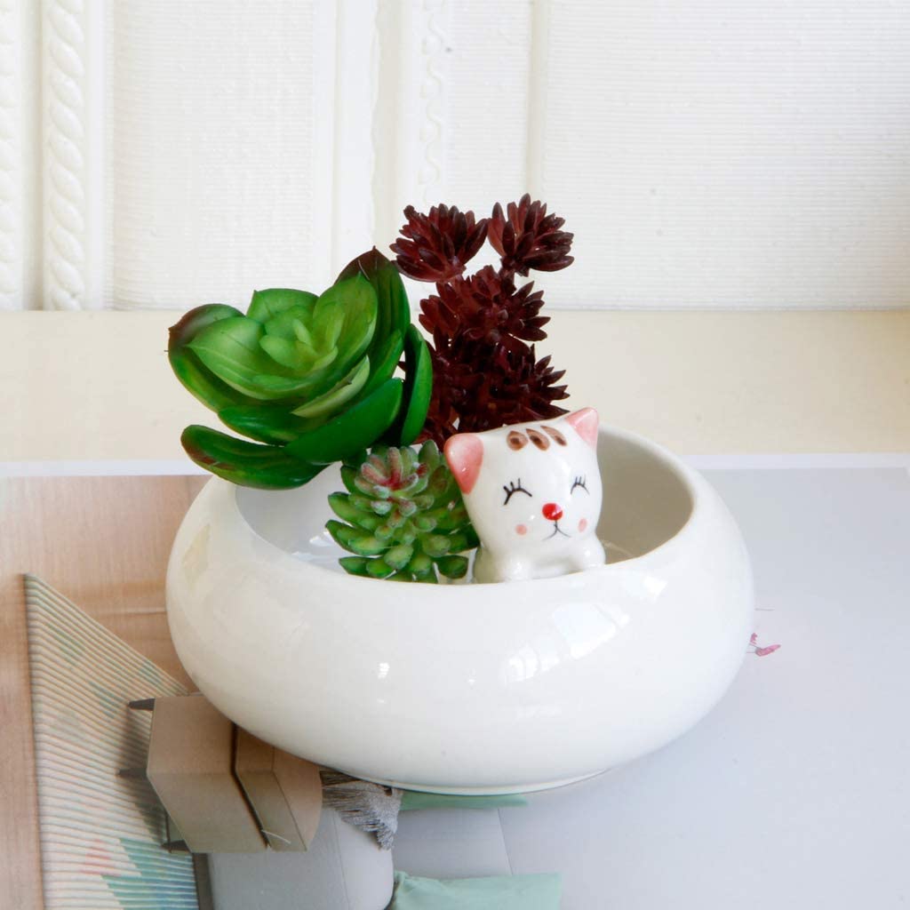 Mini maceta de gato en bañera