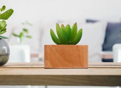 Mini maceta de madera minimalista