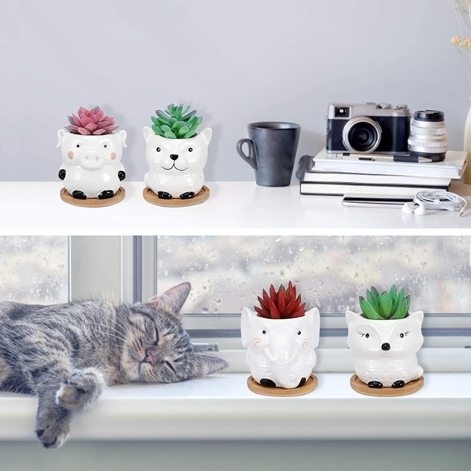 Mini macetas de animales