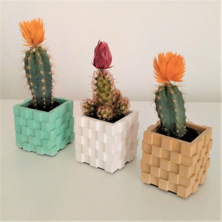 Mini tiesto de plástico con cactus florecido