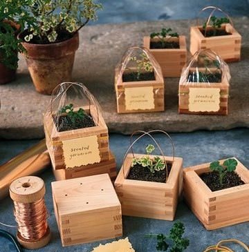 Mini macetas de madera con forma de jardinera de cultivo