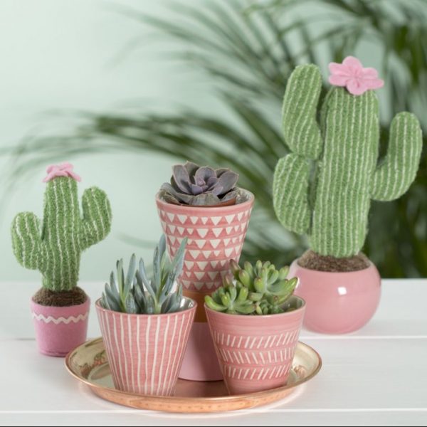 Mini maceta de cerámica con cactus