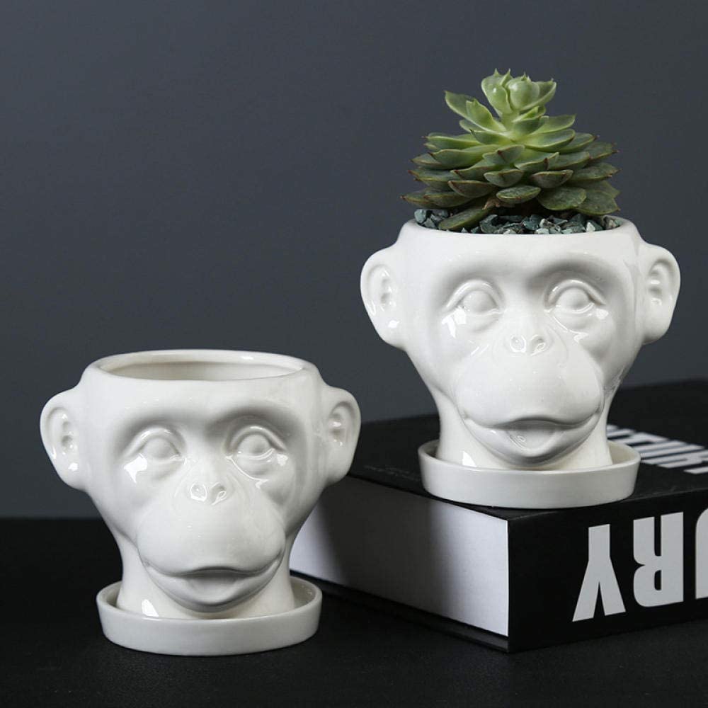 Mini maceta de cerámica con cabeza de mono