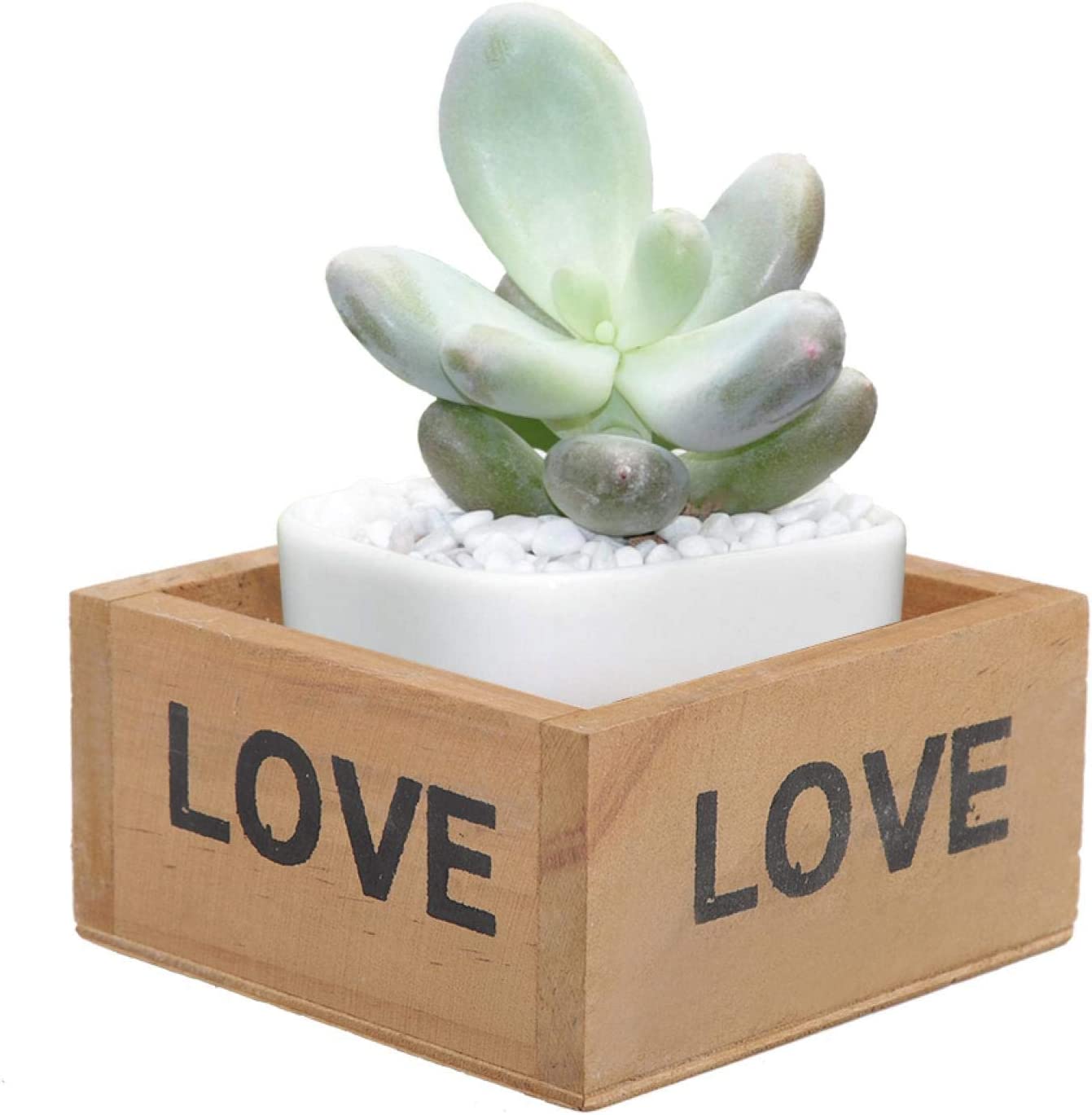 Mini maceta caja love